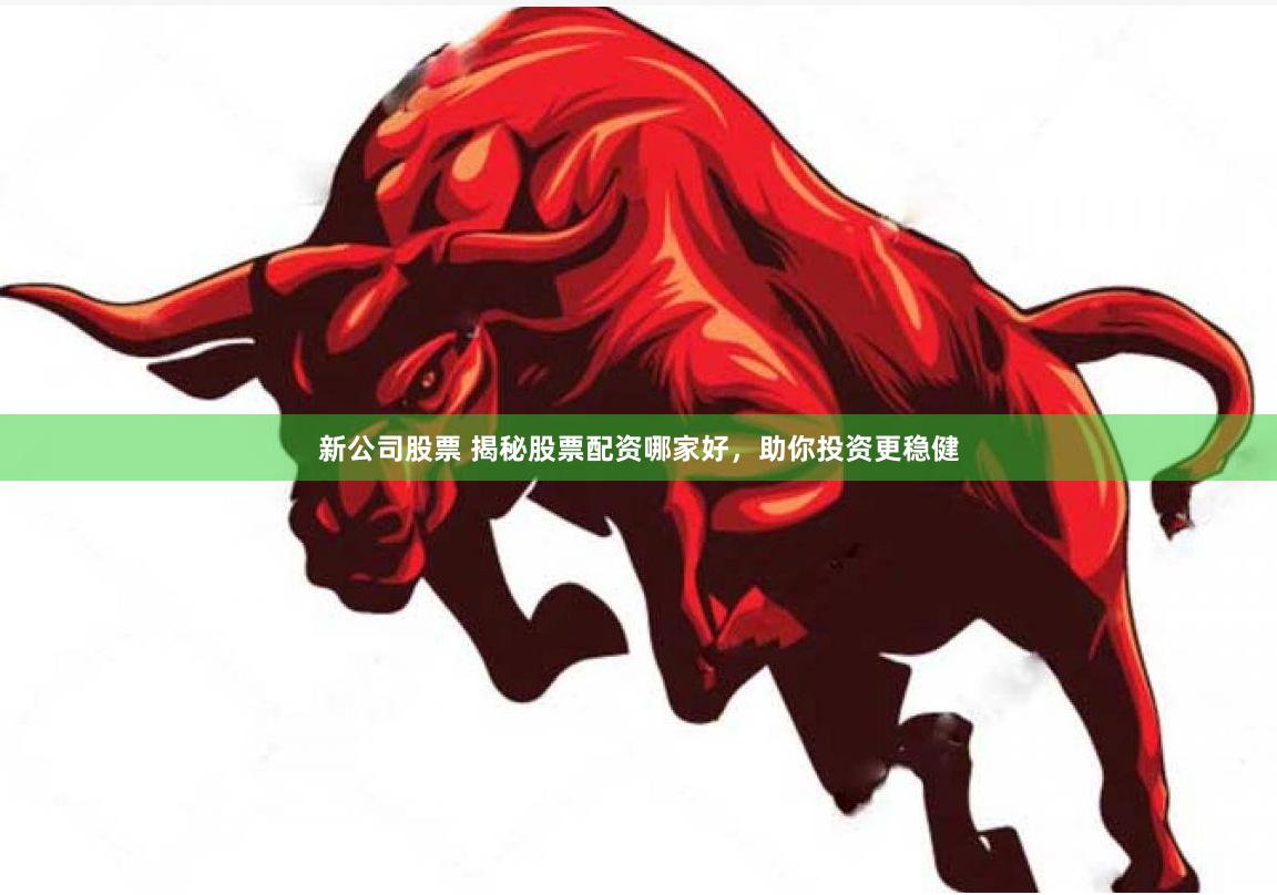 新公司股票 揭秘股票配资哪家好，助你投资更稳健