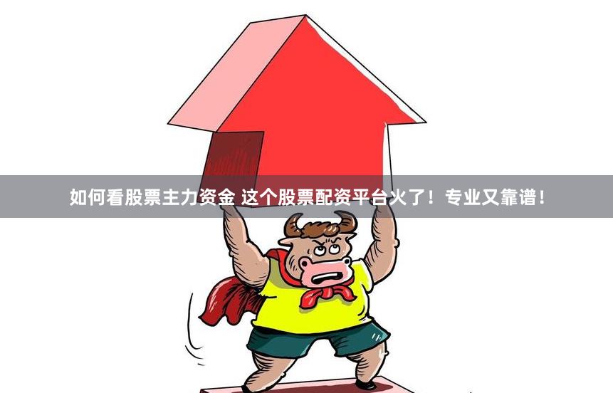 如何看股票主力资金 这个股票配资平台火了！专业又靠谱！