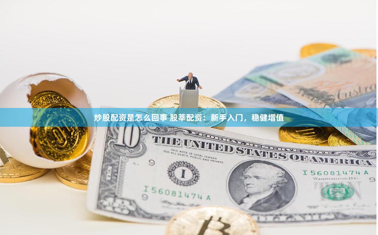炒股配资是怎么回事 股莘配资：新手入门，稳健增值